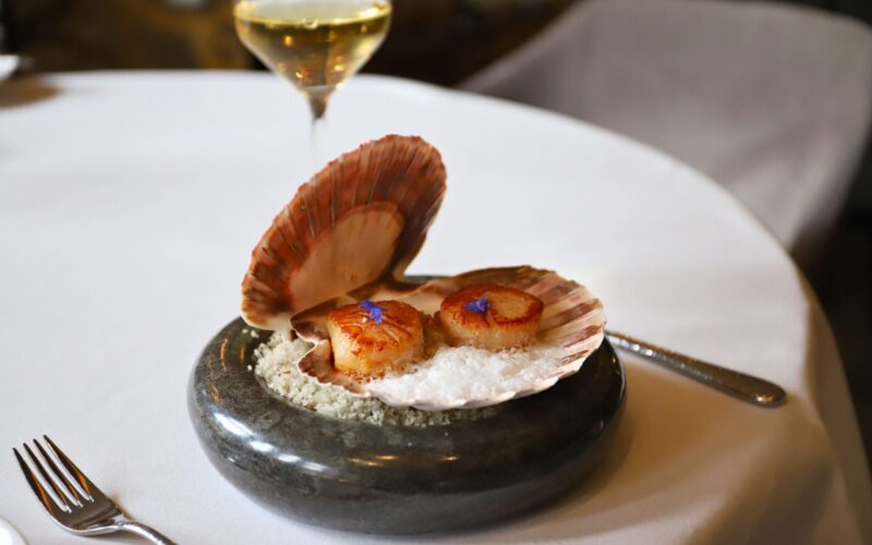 Coquille